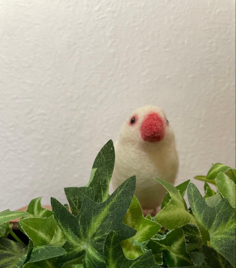 小さな文鳥たち