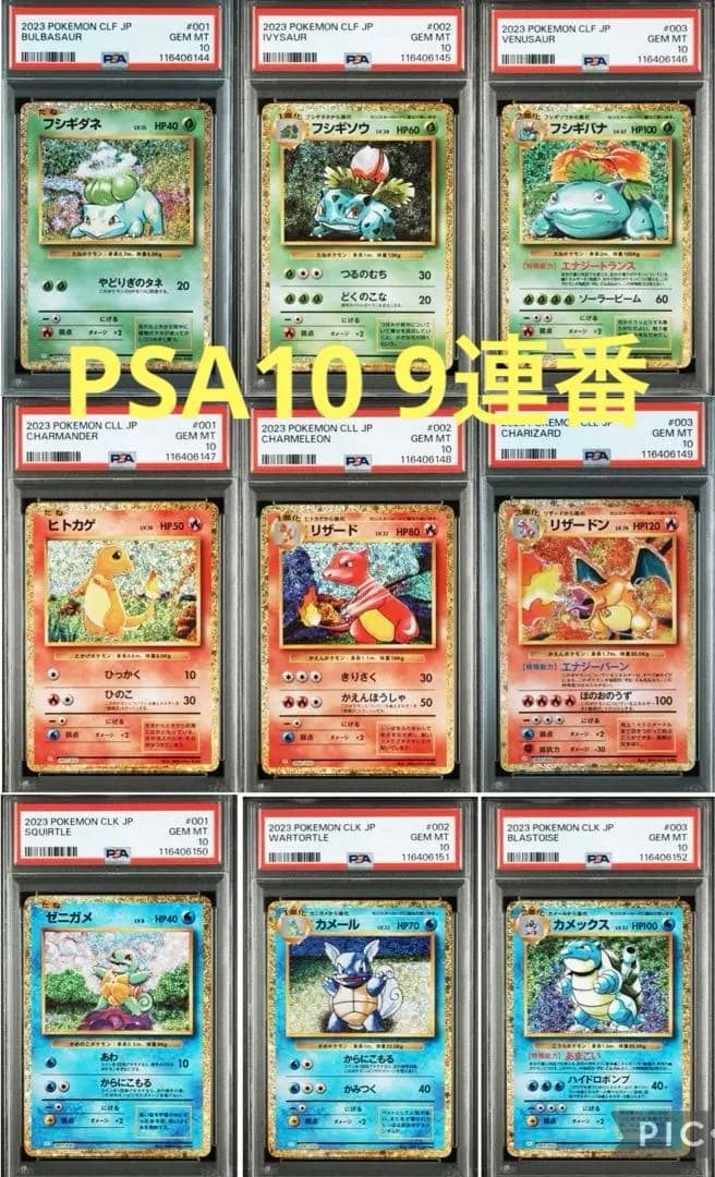 【PSA10/9連番】classic 御三家進化ライン　ポケモンカード