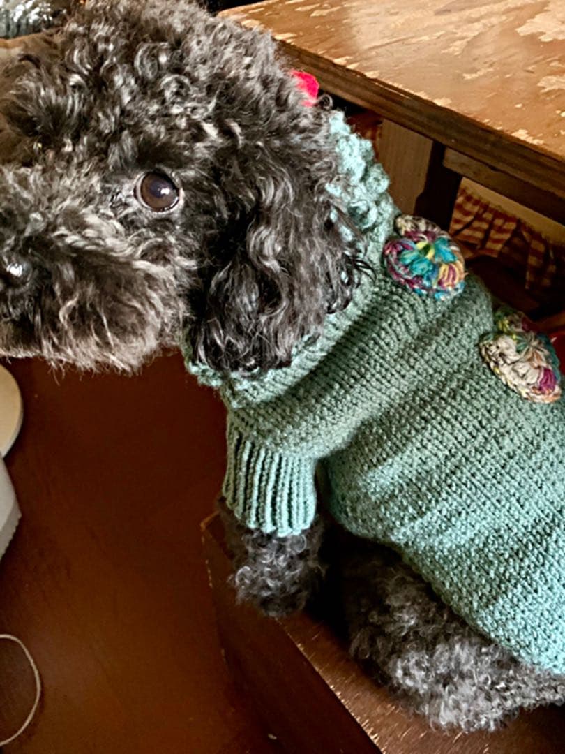 ご確認用です❤