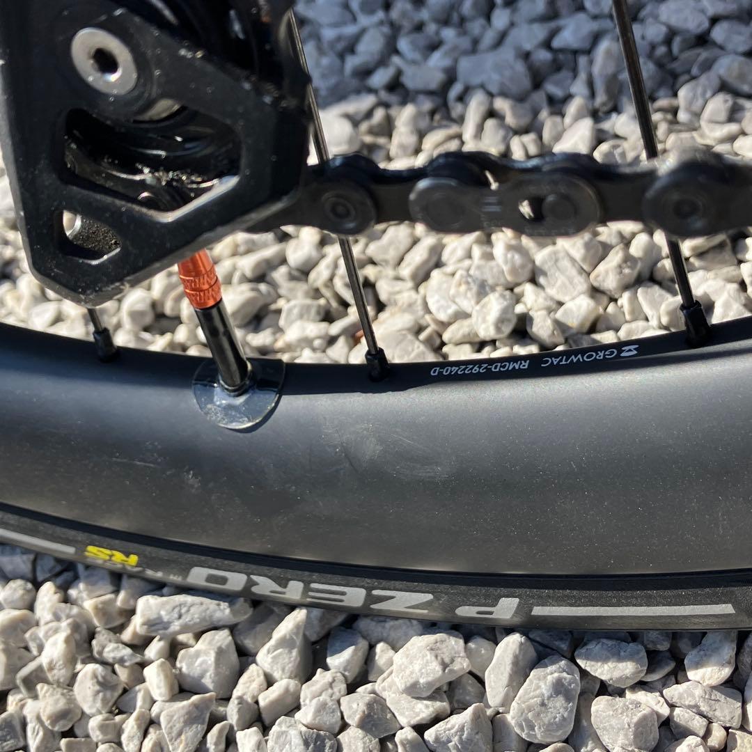 TREK 電動Domane + AL 5 56サイズ カーボンホイールカスタム済