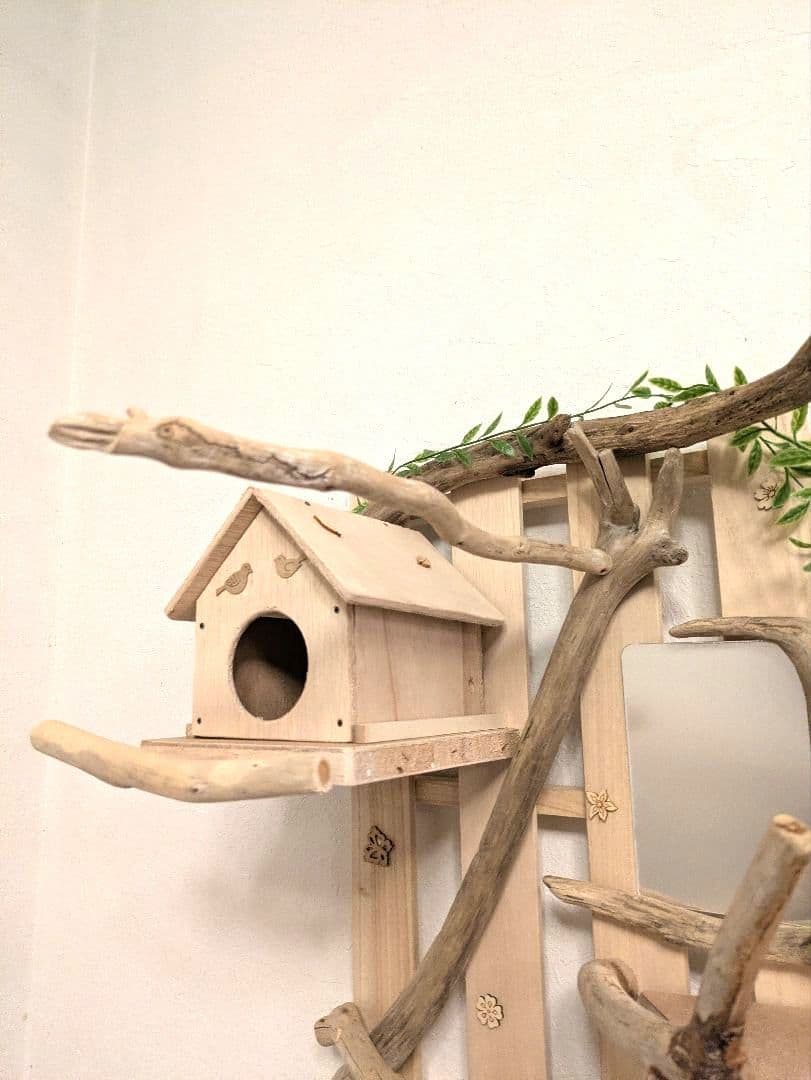 バードアスレチック　流木　壁掛け 止まり木 36バードトイ　バードジム