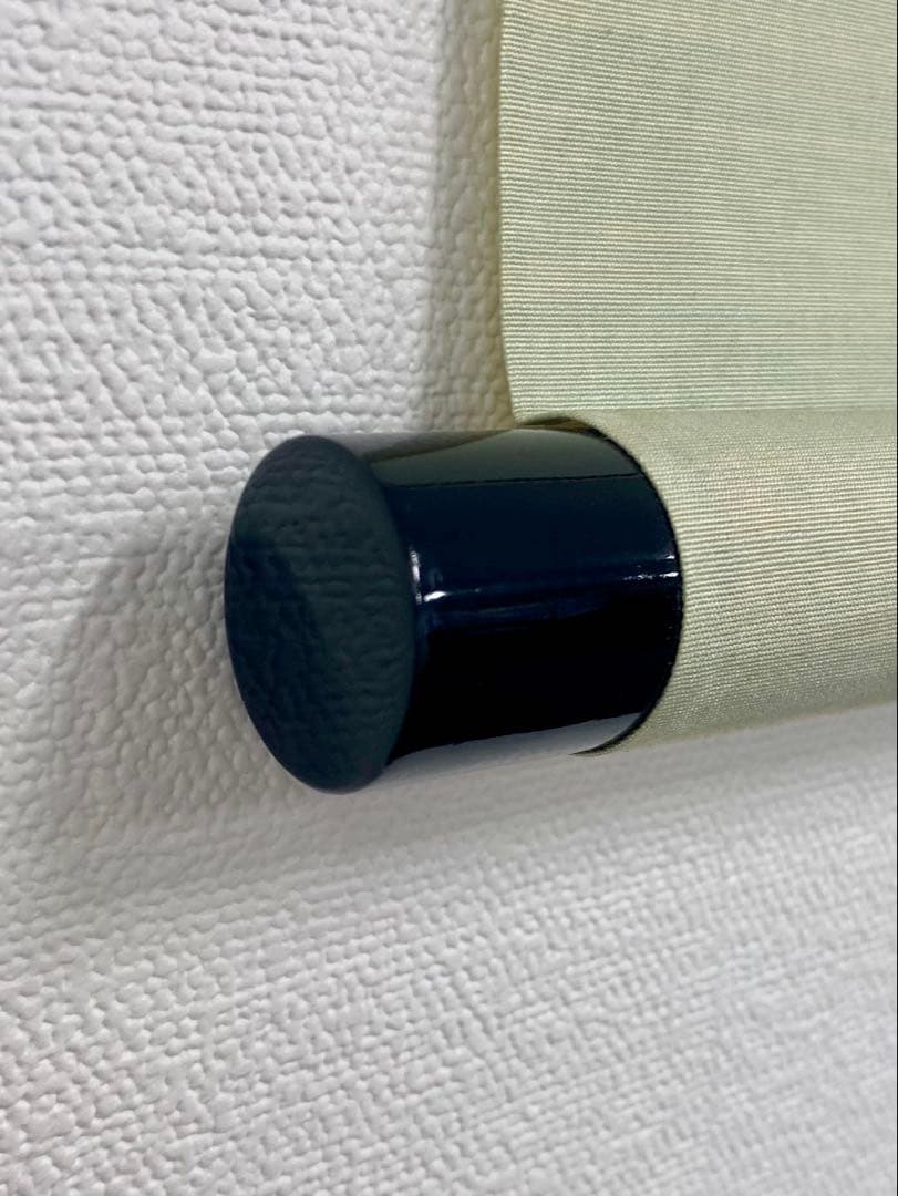 掛軸 茶掛 雪尾要道和尚筆【清泉石上流】鮎の画 画讃 自筆 大徳寺 横物 住職