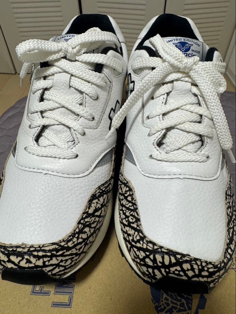 ロッテ靴SANGACIO FUNSNEAKER LIMITED EDITION