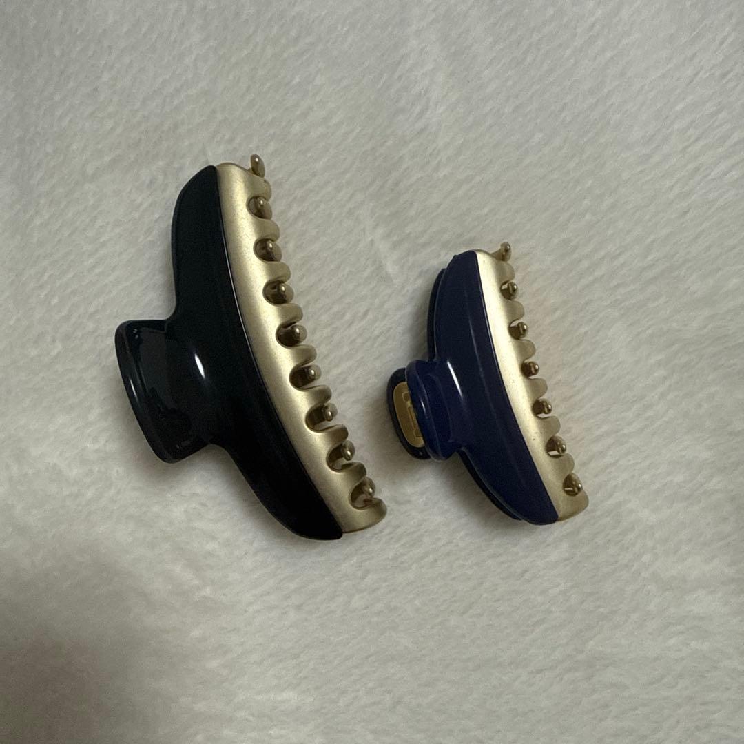 ALEXANDRE DE PARIS ヘアクリップ　2個セット
