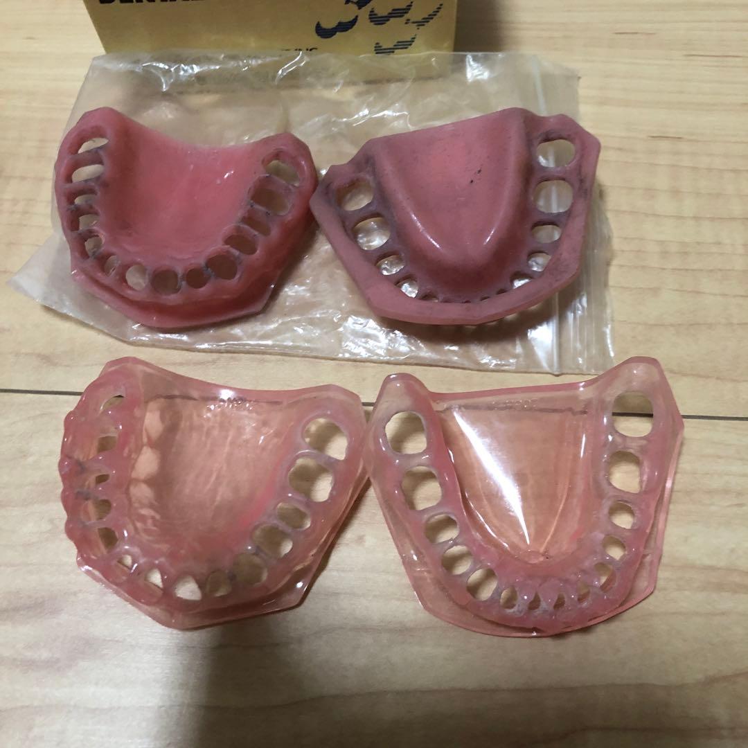 NISSIN ニッシン　顎模型　デンタルモデル　舌模型　粘膜