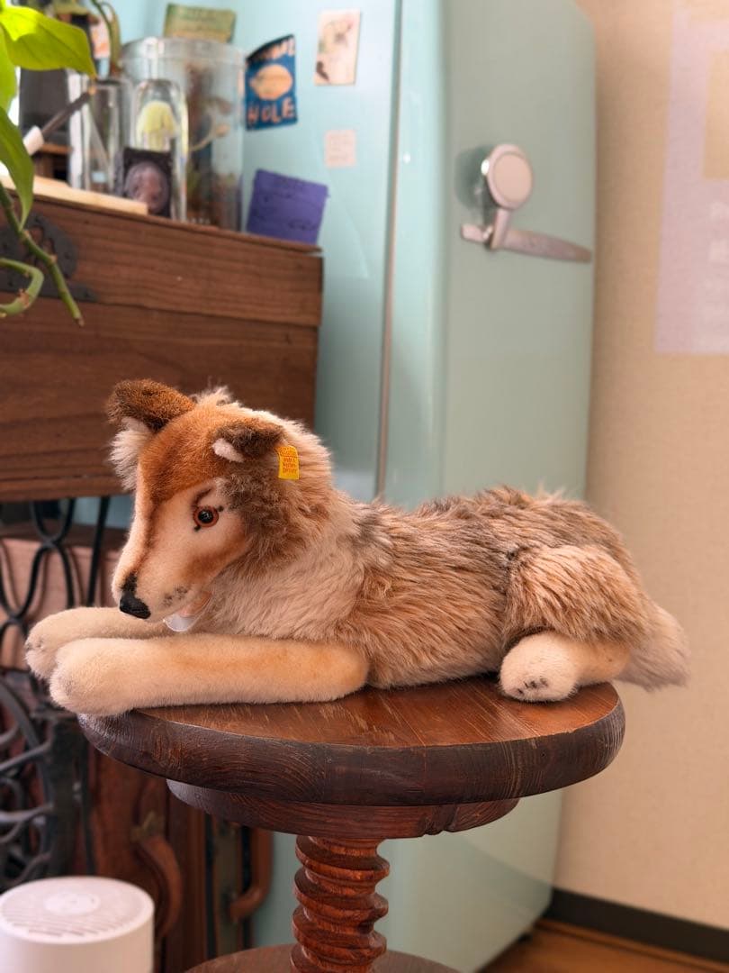 シュタイフ　コリー　オールドシュタイフ