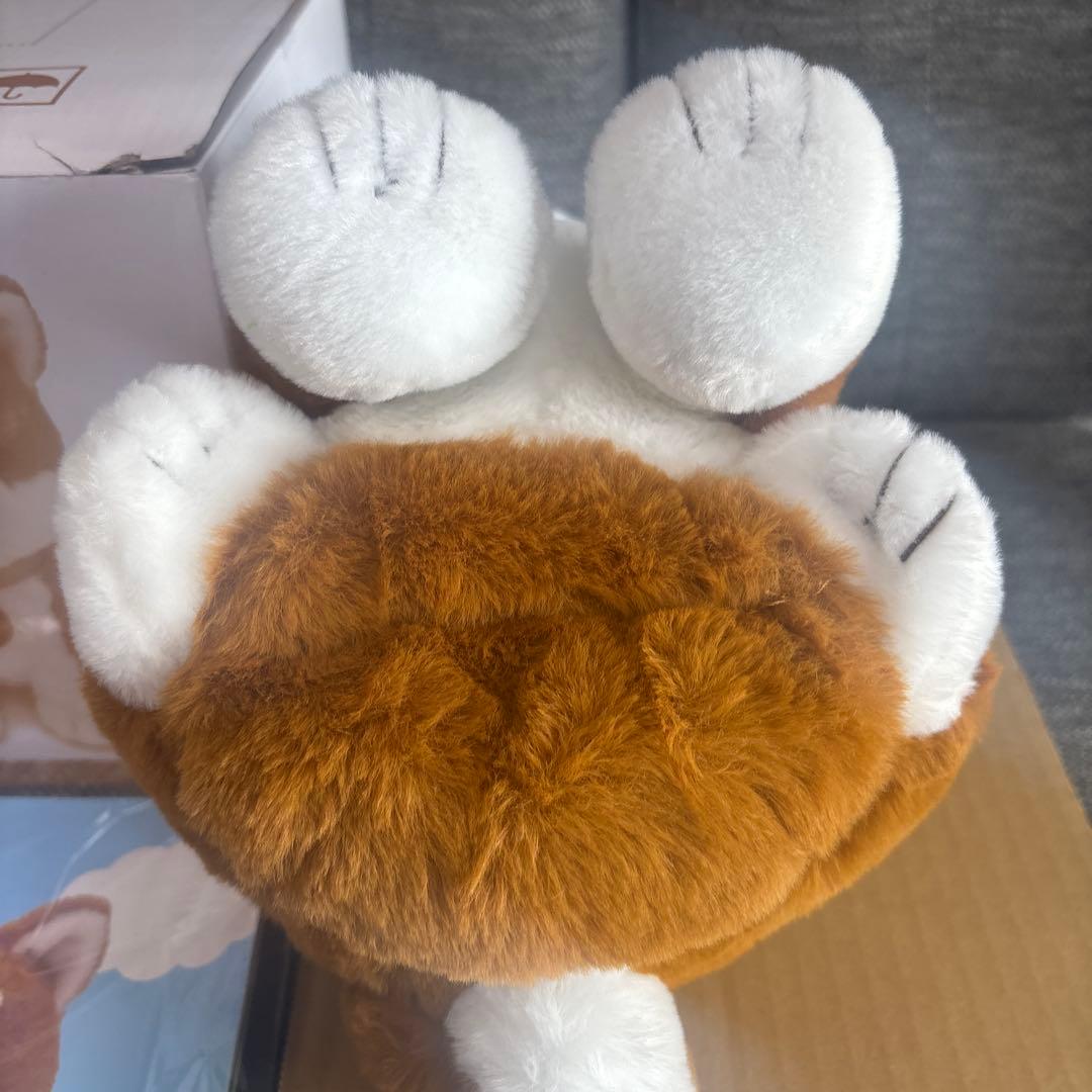 しばいぬコウタ　バンダナ無し