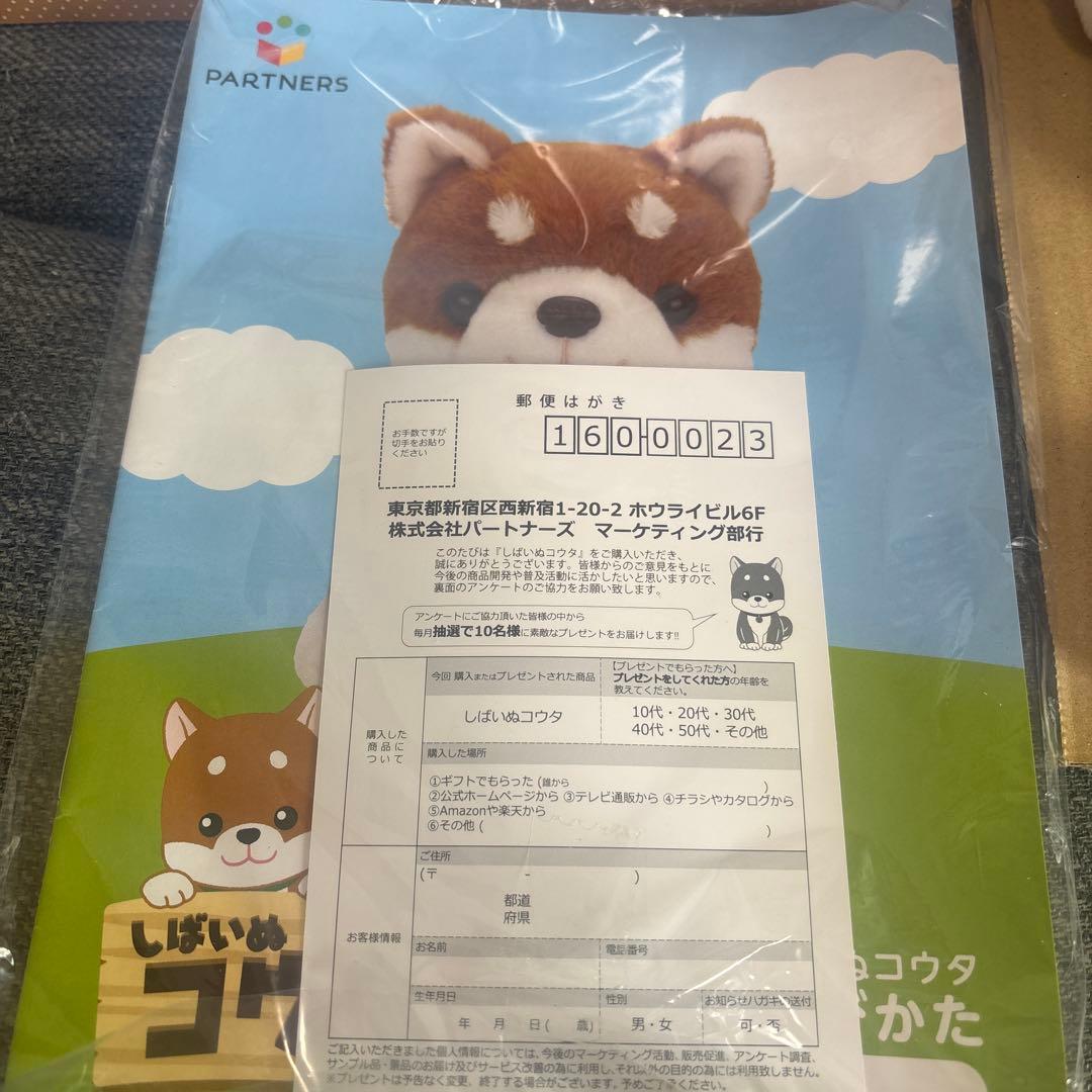 しばいぬコウタ　バンダナ無し