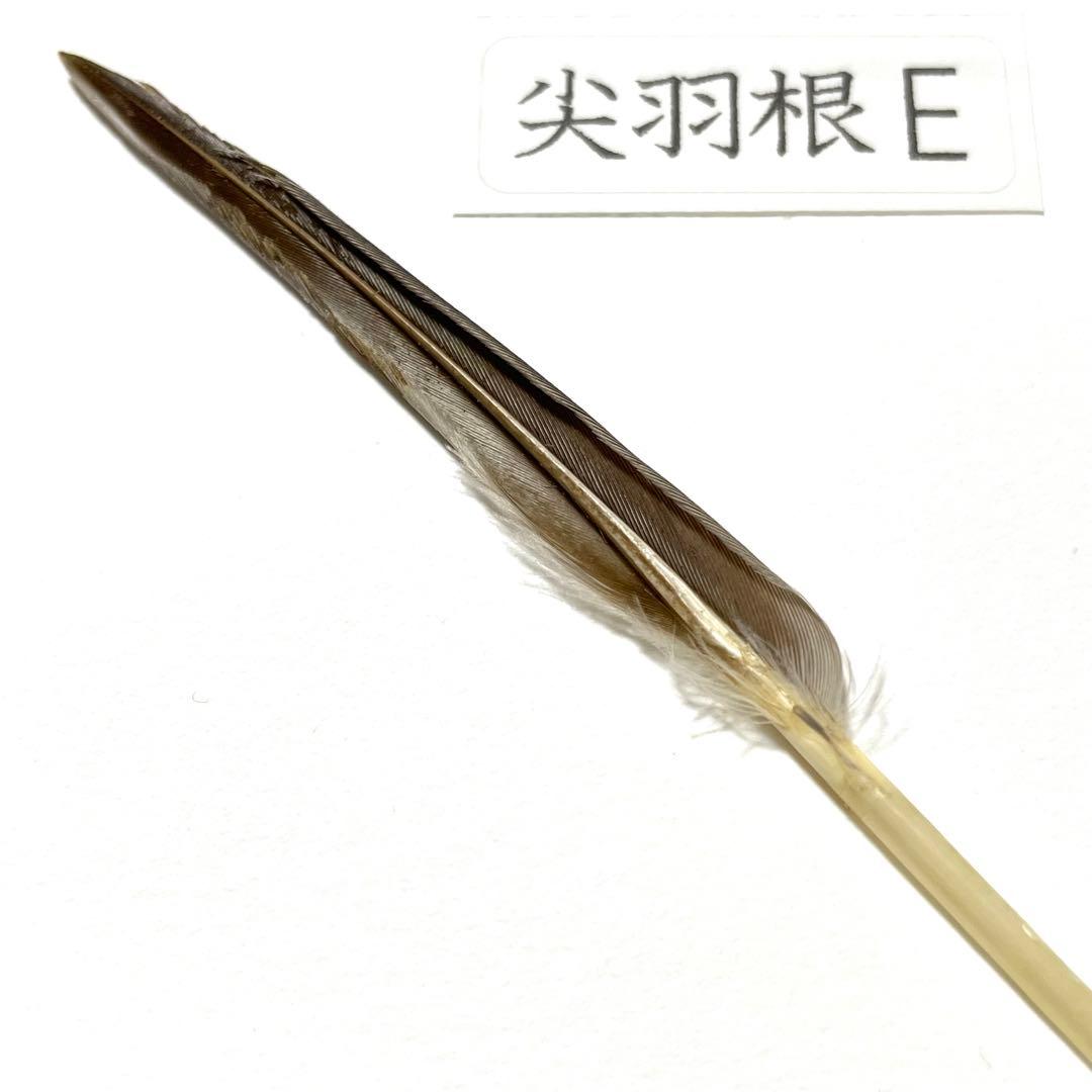 盆石道具 尖羽根 (E)