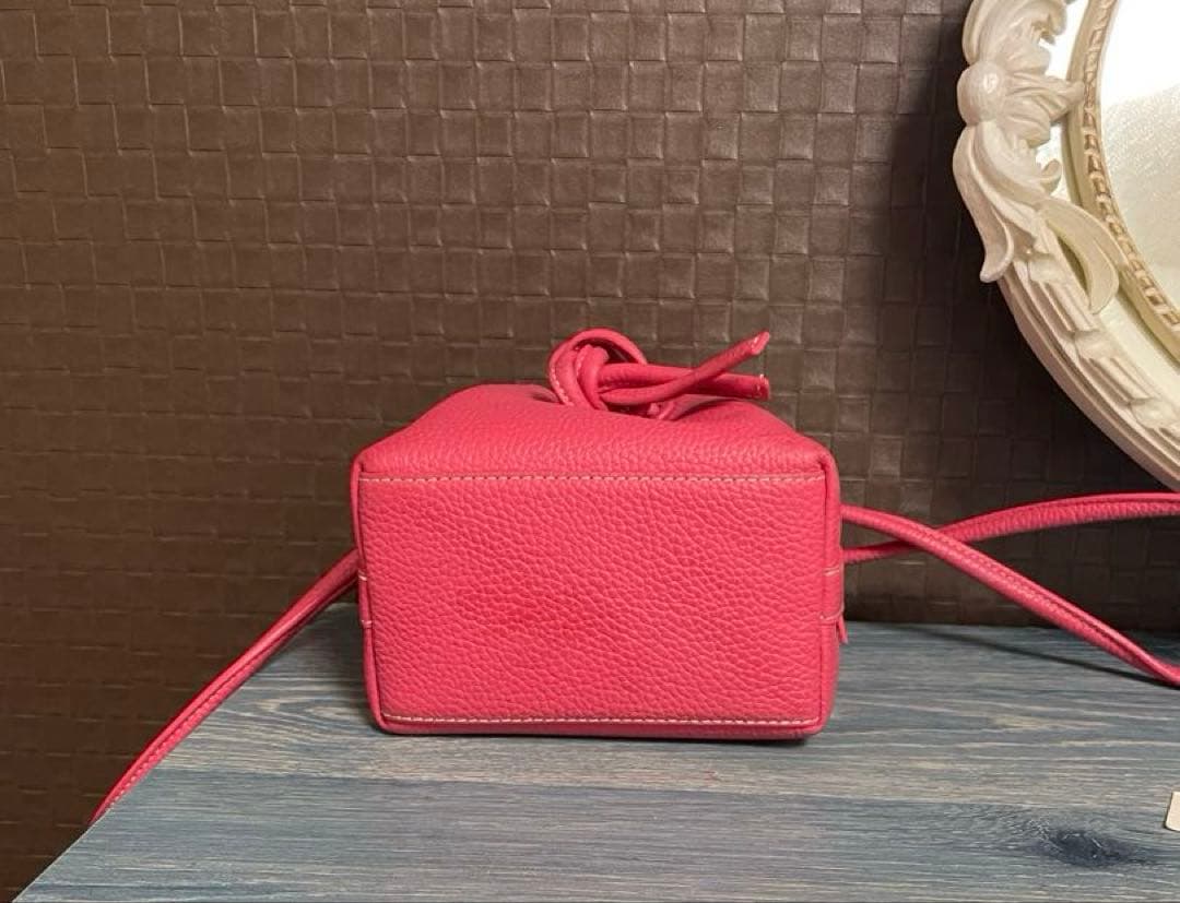 極美品Vasic Bond MiniMiniピオニー限定色 2way バッグ