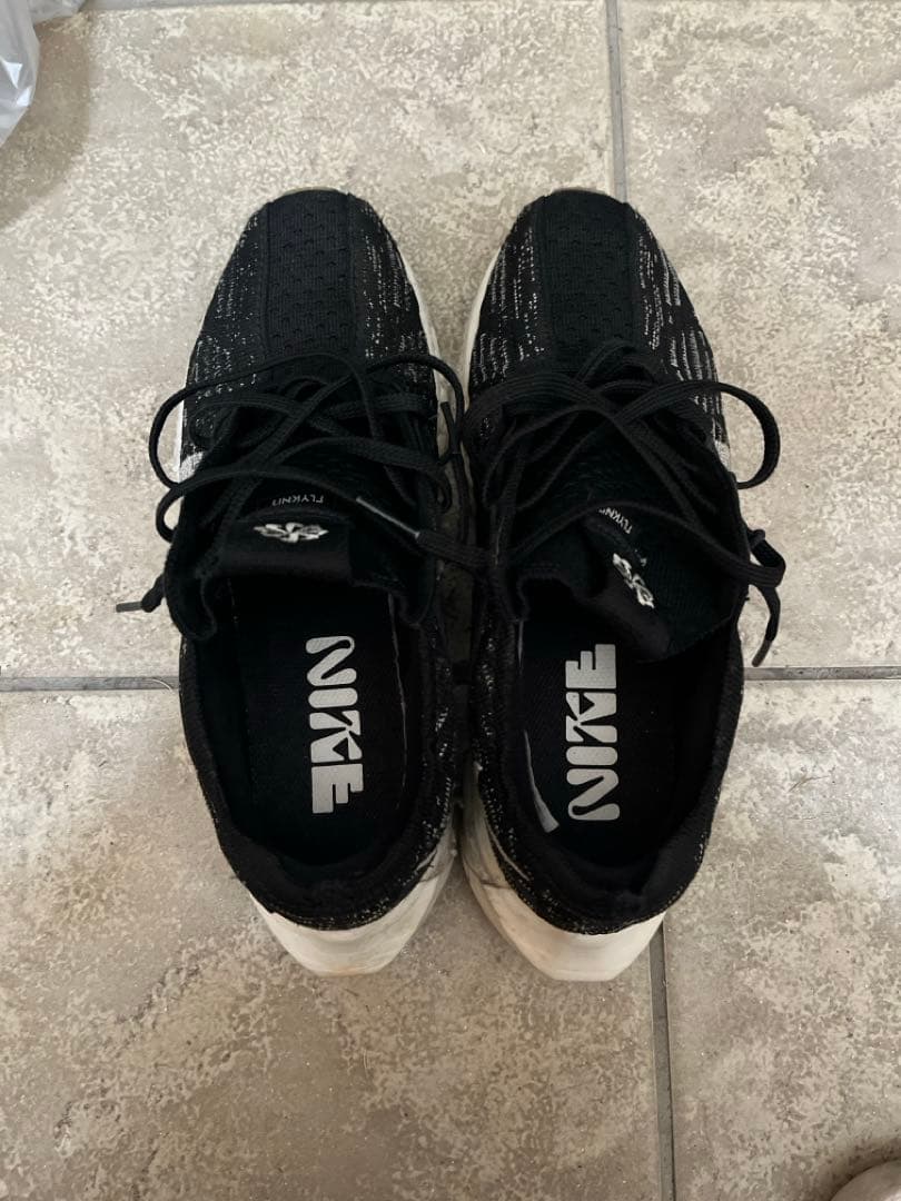 Nike ペガサスターボ　ネクストネイチャー　25.0cm