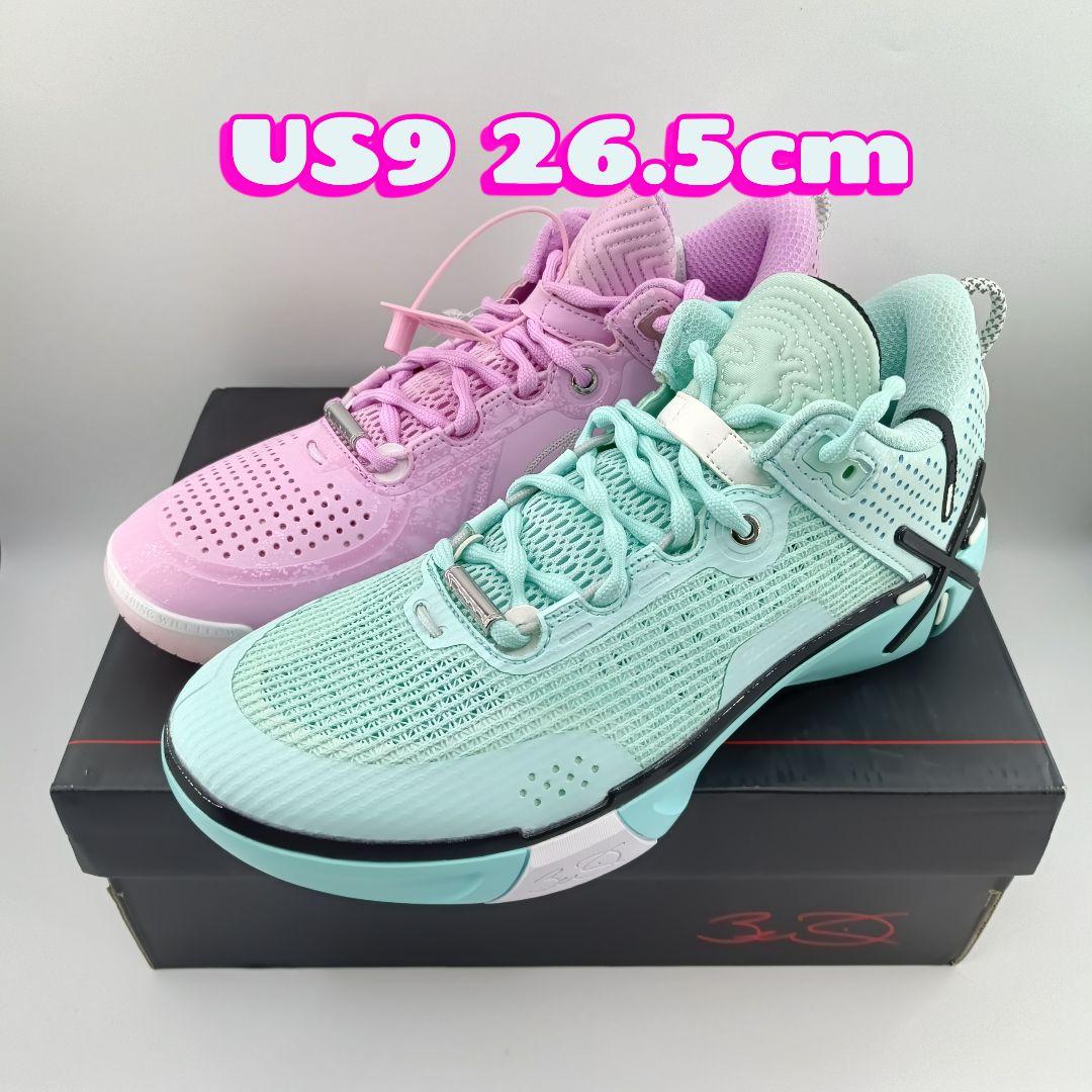 Wade Shadow 6「自由・マイアミナイトミスマッチ」US9 26.5cm