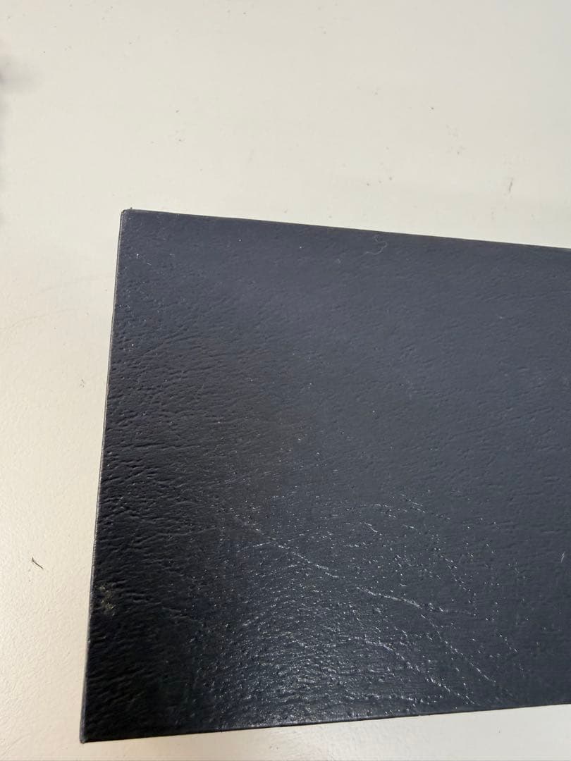 PLATINUM 14K万年筆 黒 ☆