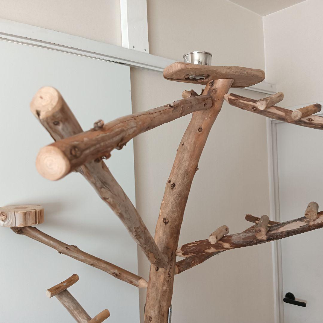 な バードアスレチックジム大型 天然木 自然木 流木 インコ おもちゃ