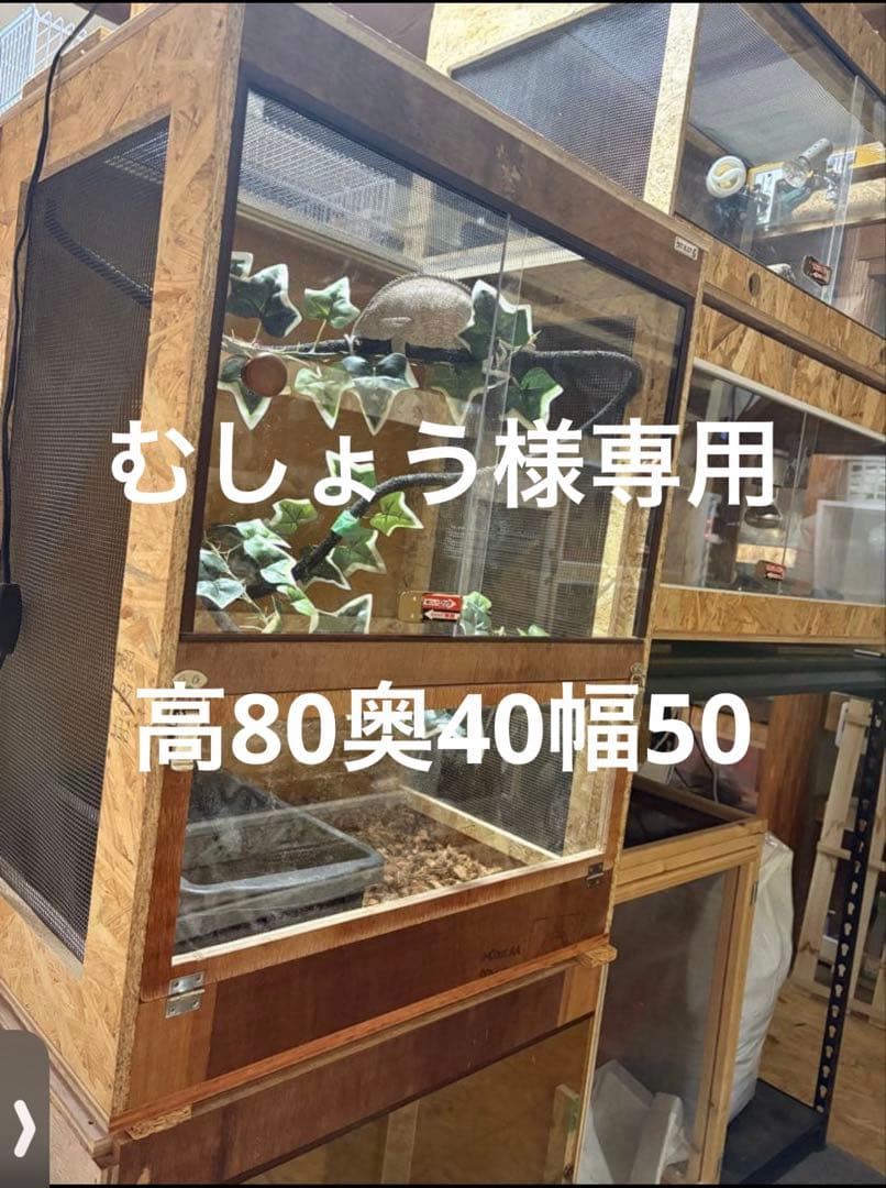 むしょう　504080