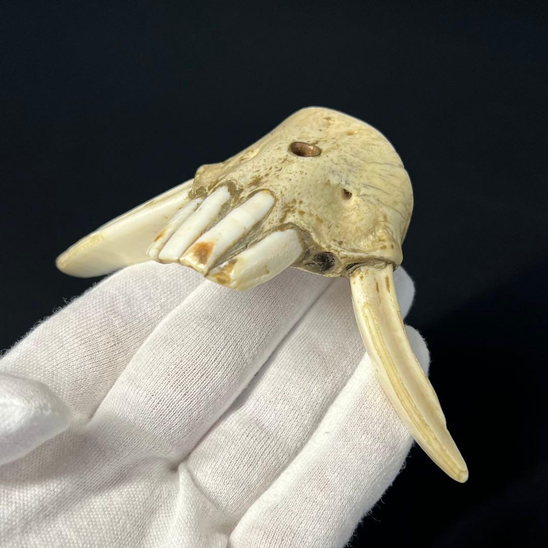 ◎古道具 庵々◎江戸-明治期 獣牙根付■提げ物山伏猟師魔除け呪物■猪牙狼牙熊牙