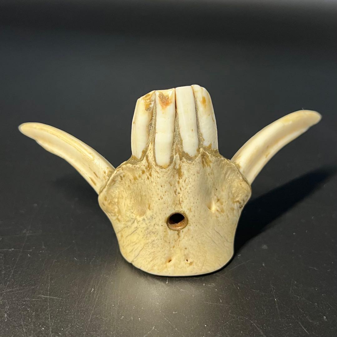 ◎古道具 庵々◎江戸-明治期 獣牙根付■提げ物山伏猟師魔除け呪物■猪牙狼牙熊牙