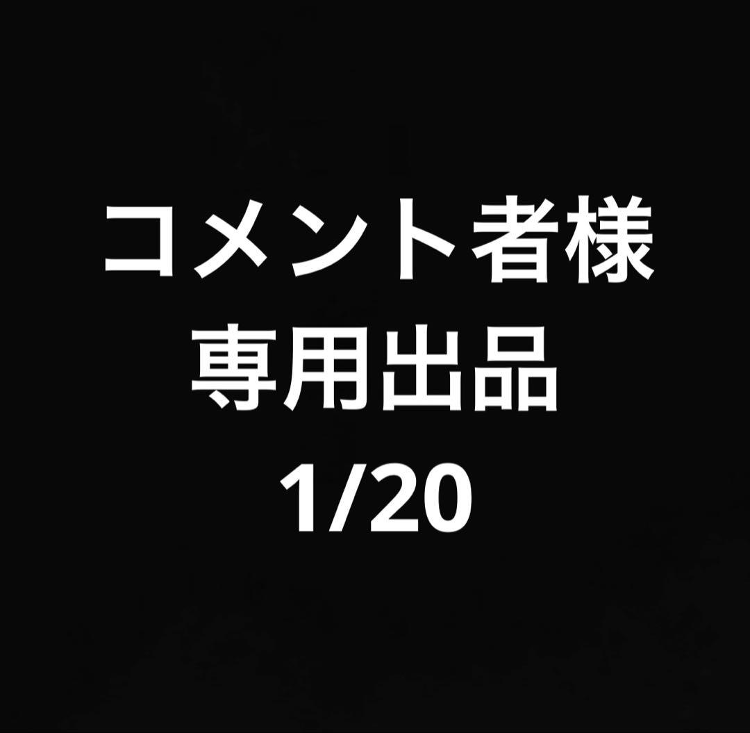コメント者1/20 カ12