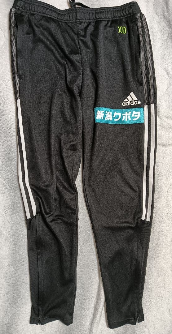 支給品　アルビレックス新潟　トレーニングパンツ　XO　ジャージ