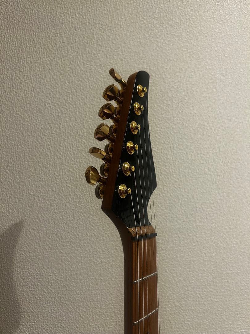 Bacchus BTE-1DX RSM MOD テレキャスター suhr