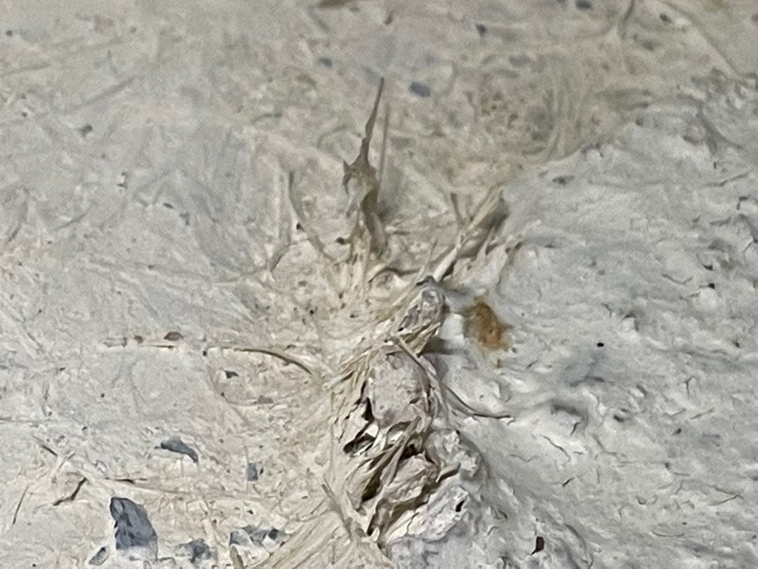 Muller's Onix コーヒーテーブル　HECHO EN MEXICO