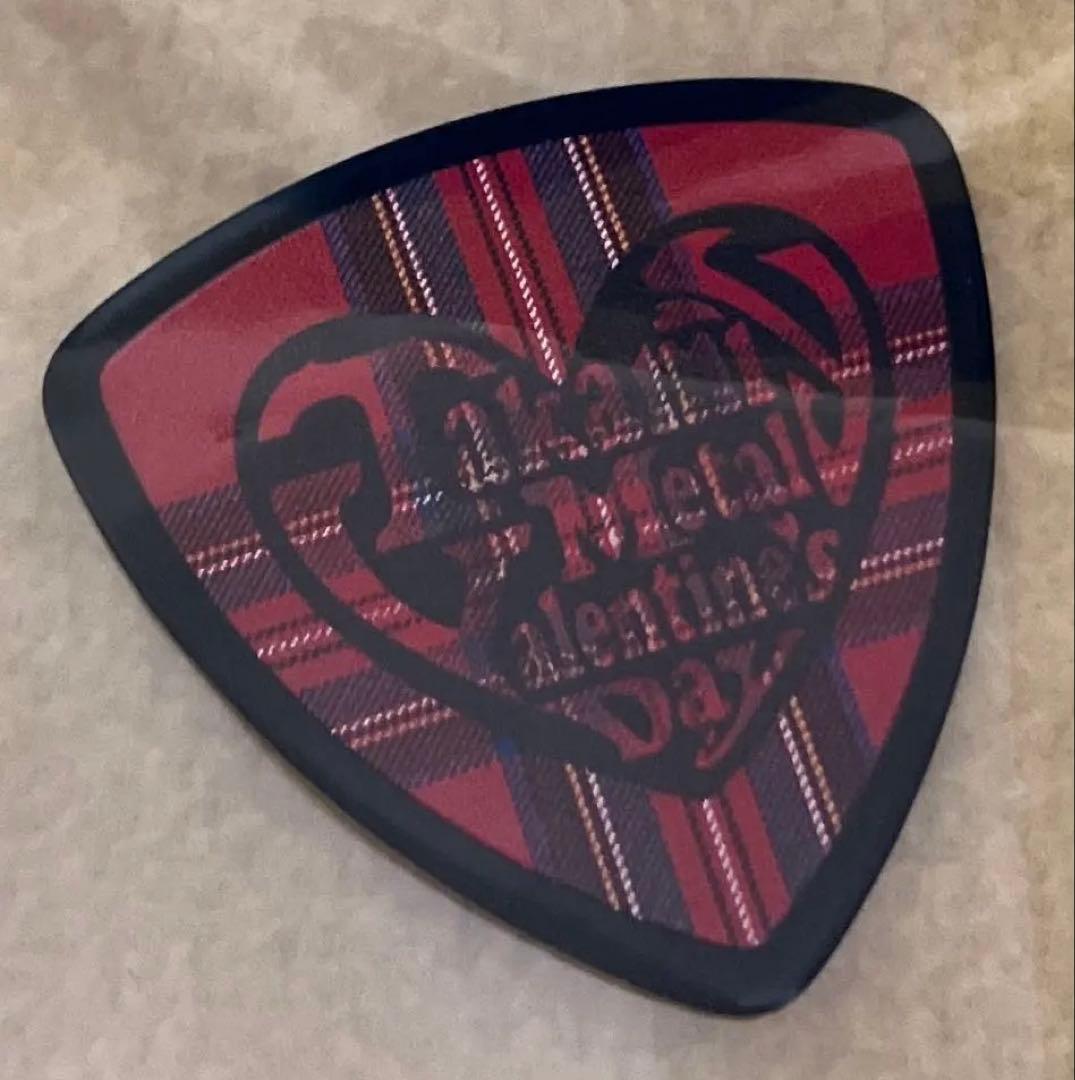 THE ALFEE 高見沢俊彦パンフ12冊セット　付属品追加