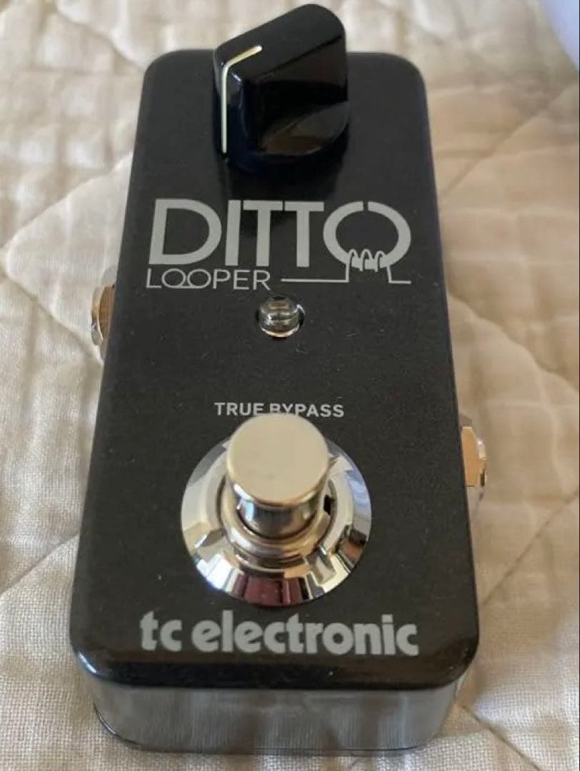 tc electronic DITTO LOOPER 未使用品