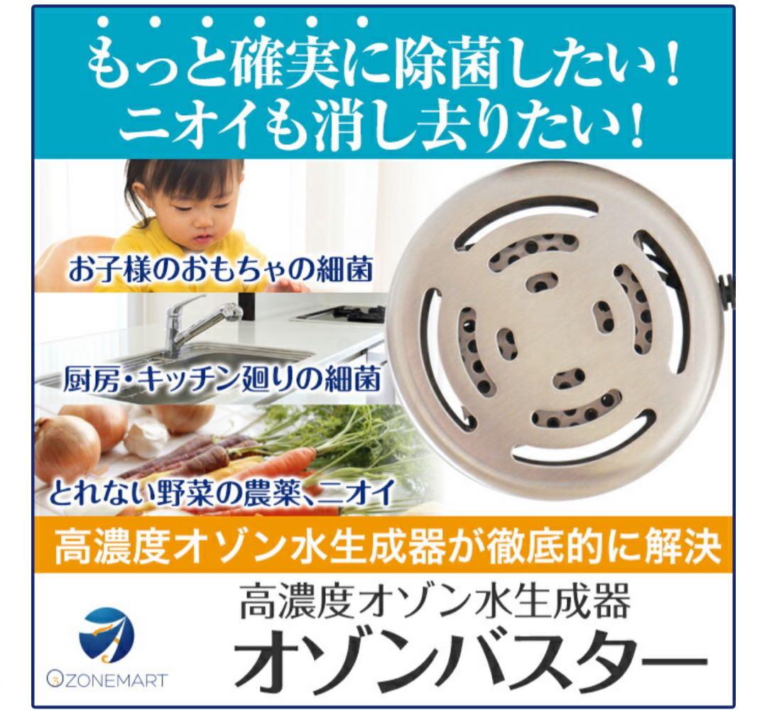 Ozone Buster オゾンバスター 高濃度オゾン生成器