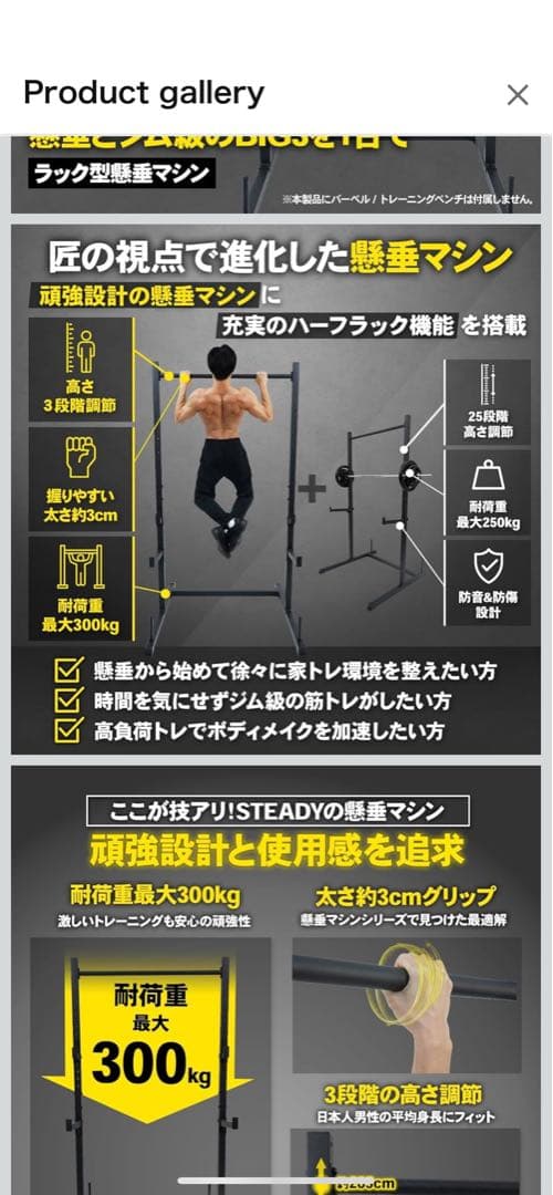 STEADY ラック型 懸垂マシン 懸垂 ハーフラック 懸垂台 ST154