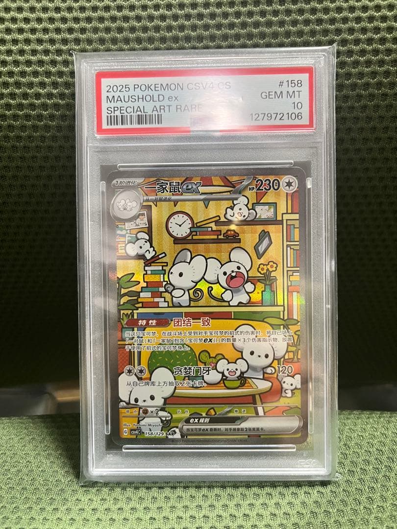 イッカネズミ 中国 SAR PSA10