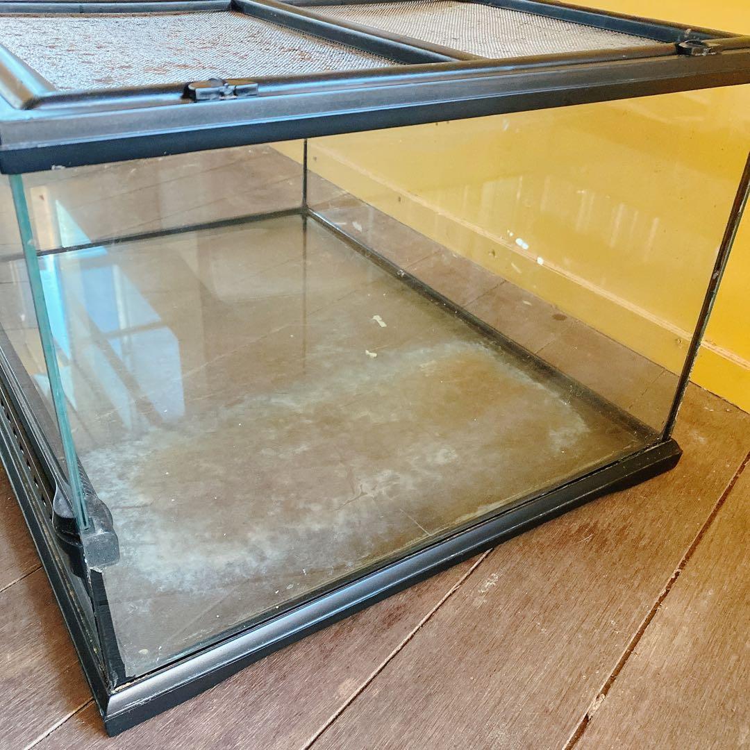 エキゾテラ　グラステラリウム　ガラスケース