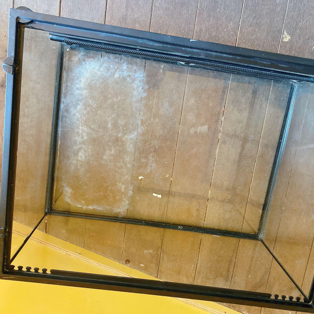 エキゾテラ　グラステラリウム　ガラスケース