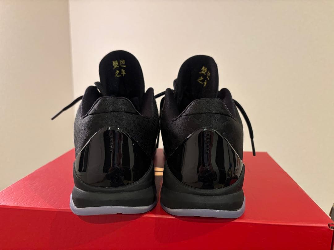 シューズ(男性用) Kobe 5 Protro Year of the Mamba/Eggplant