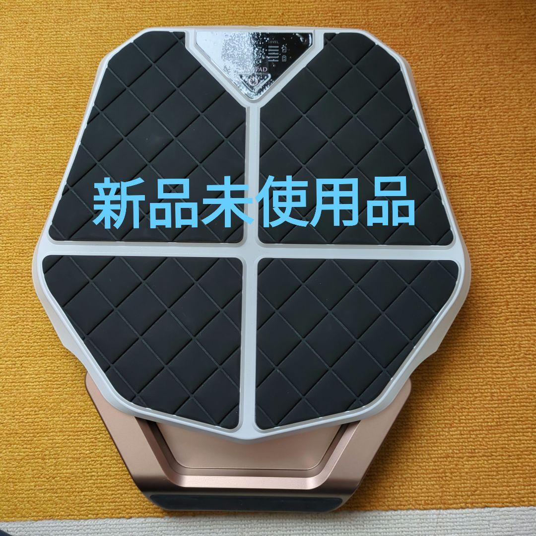 ウエイトトレーニング SLIMPAD CL-HB-550