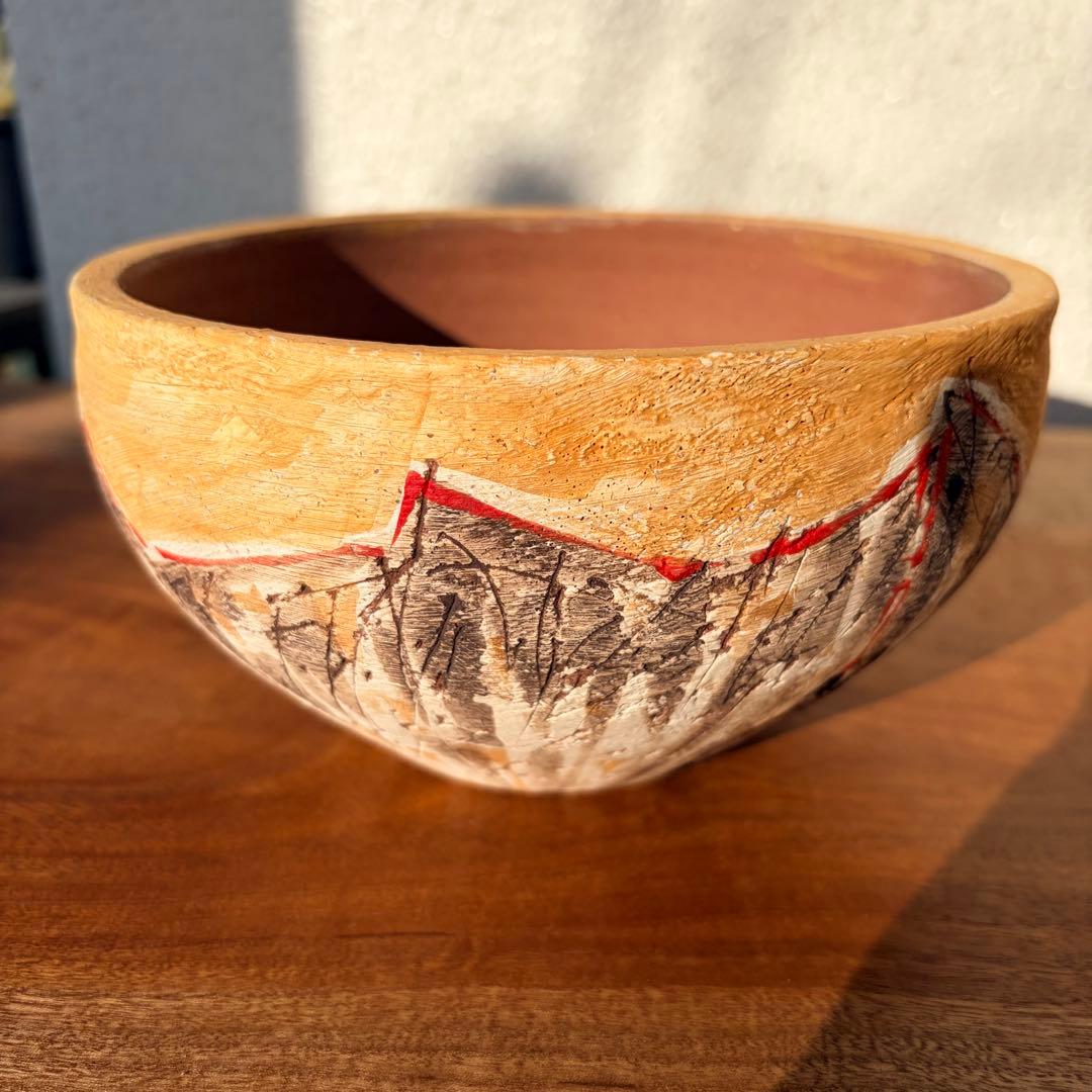 沼野秀章 / 刻ム音 / 5号　新品未使用　アガベ　グラキリス