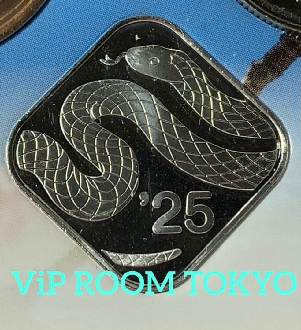 純銀 8.6g 造幣局 銀銘板 2 #巳年 銀令和7年 収集Box付no.102