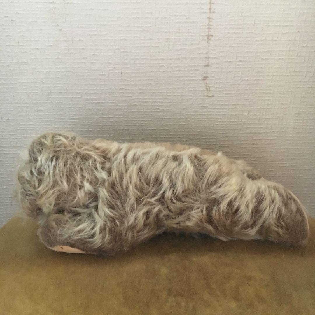 寝転び　ゾッティ