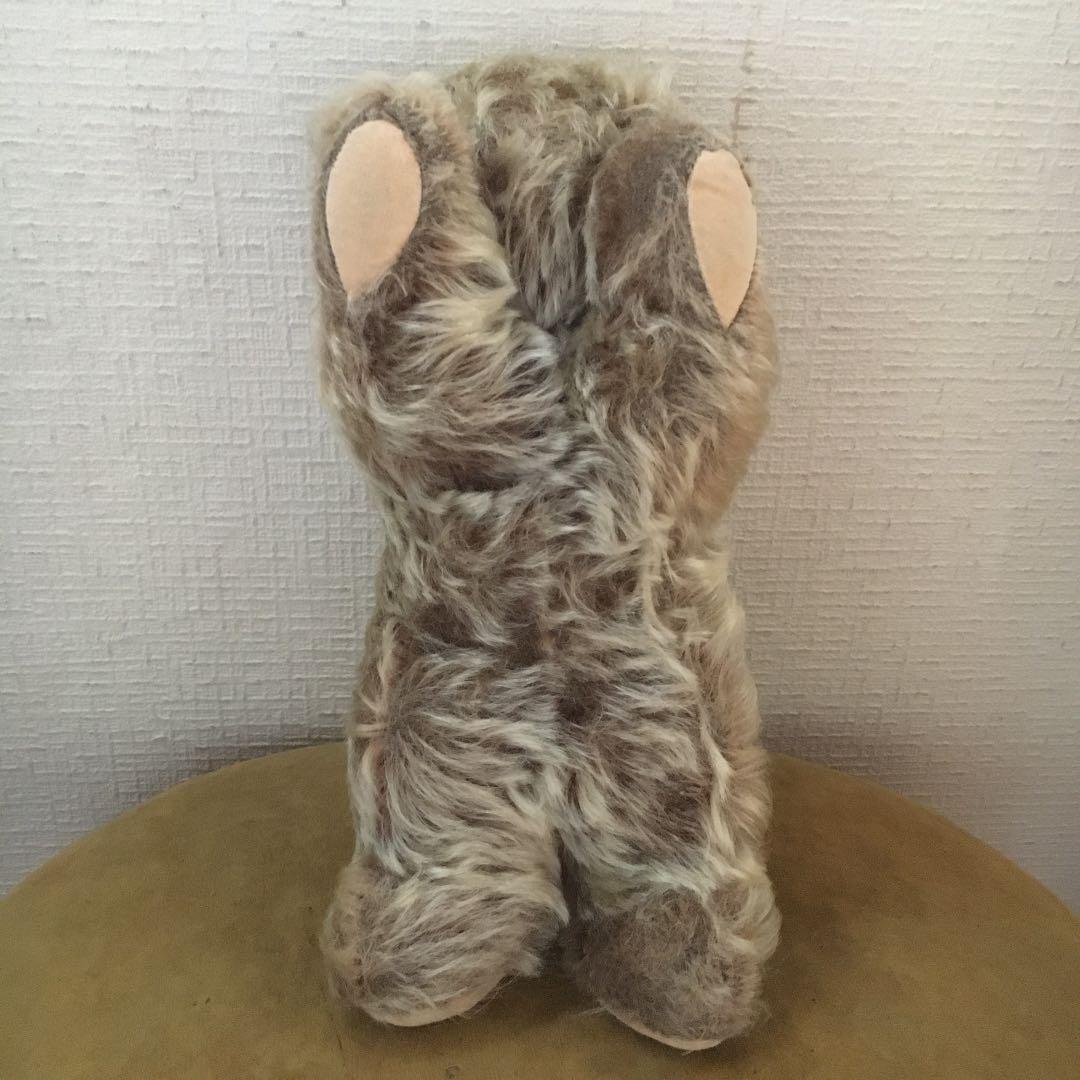 寝転び　ゾッティ