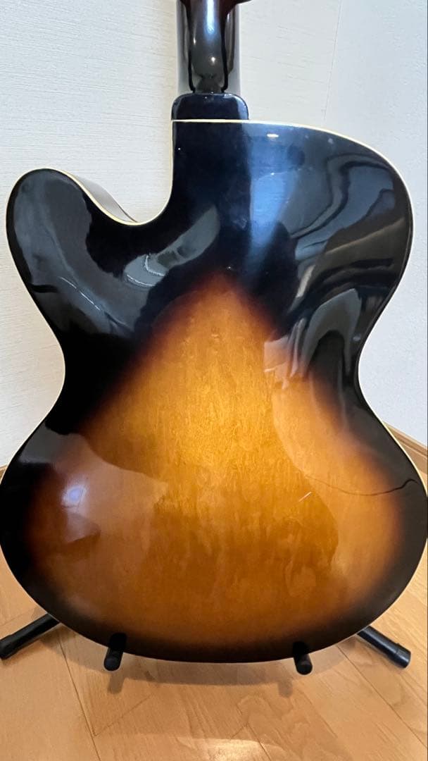 Aria Pro II PE-175 ハーブエリスモデル　ケースなし