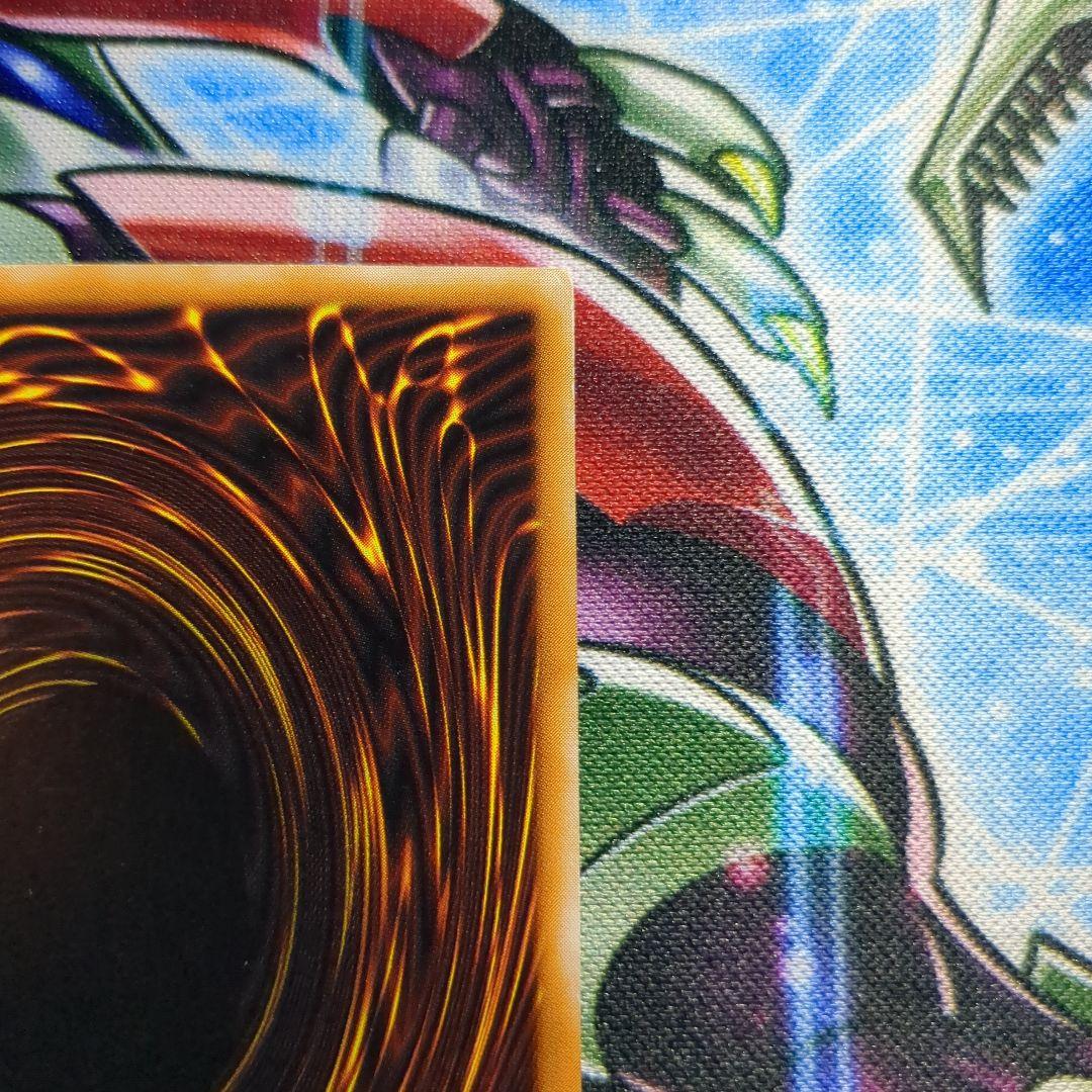 遊戯王　ダーク・ネクロフィア　レリーフ1枚