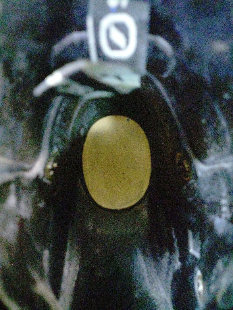 SCARPAt4テレマーク ブーツ