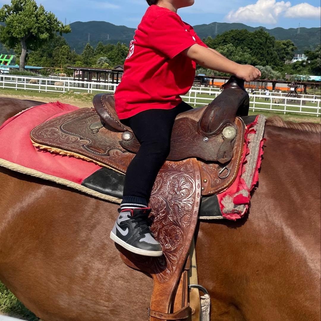 Nike ナイキ ジョーダン1 MID ALT 新品未使用 完売品 16cm