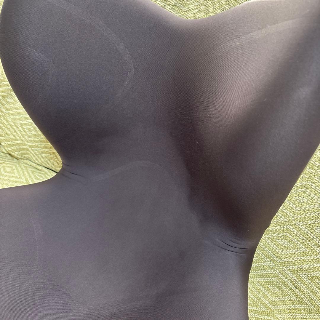 Style PREMIUM スタイルプレミアム ブラウン