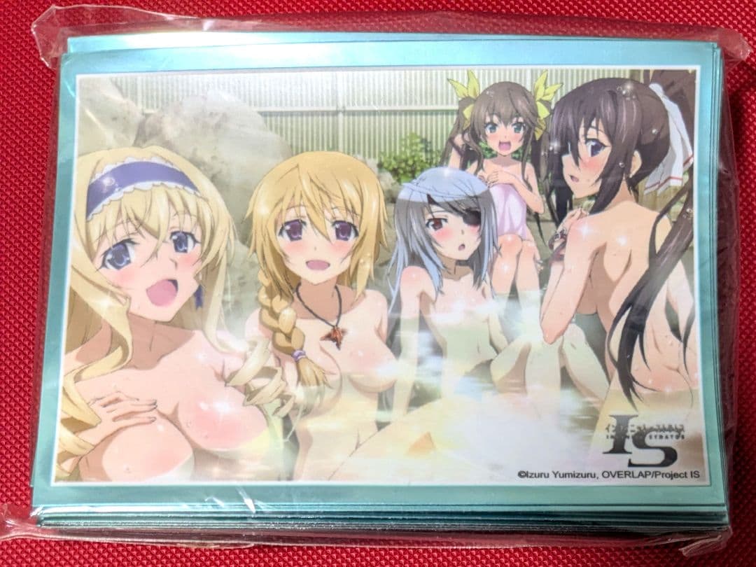 【IS】セシリア ラウラ 箒 鈴音 シャルロット 温泉 スリーブ インフィニット