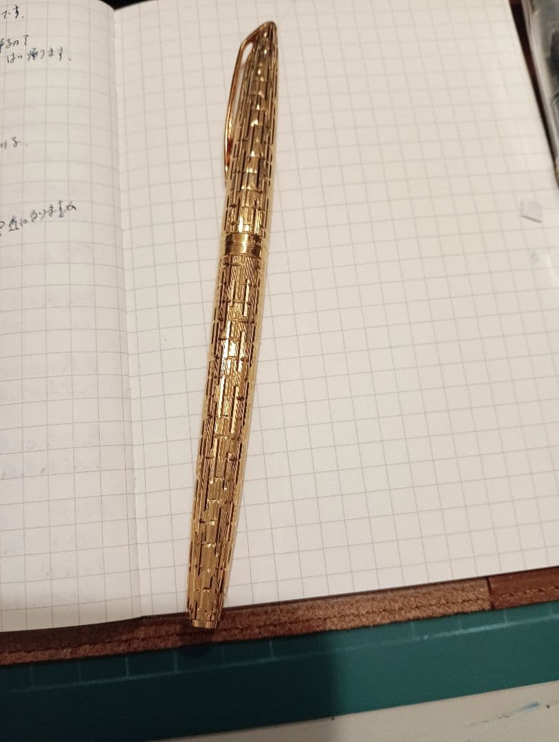 ウォーターマン　cp2 ワニ柄