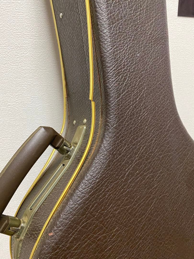 ThreeS Troubadour アコースティックギター 専用ケース付き