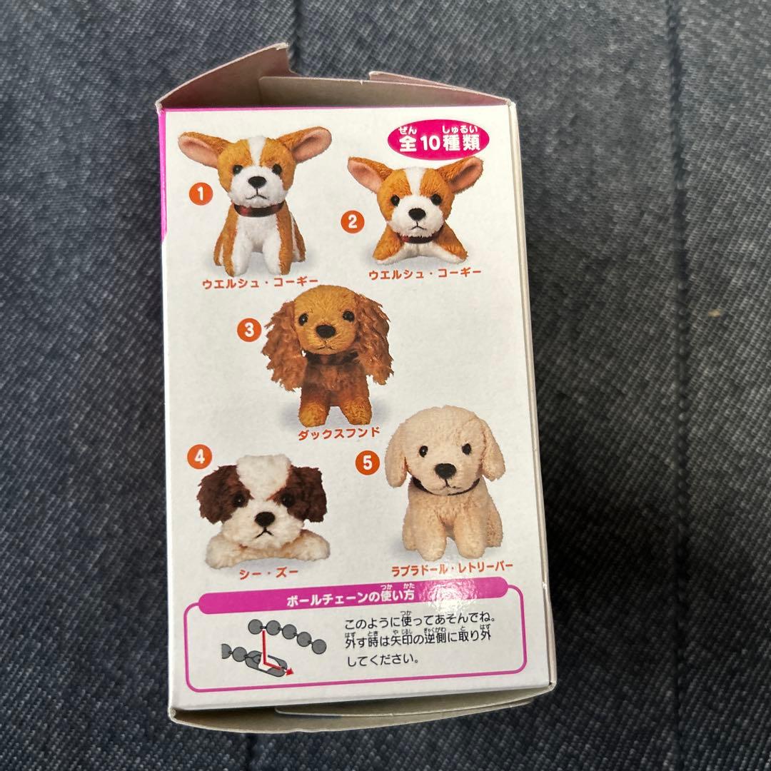 カバヤ 子犬ぬいぐるみ Cute Dog ボールチェーンマスコット 8点セット