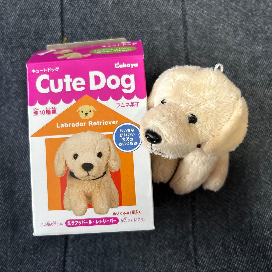 カバヤ 子犬ぬいぐるみ Cute Dog ボールチェーンマスコット 8点セット