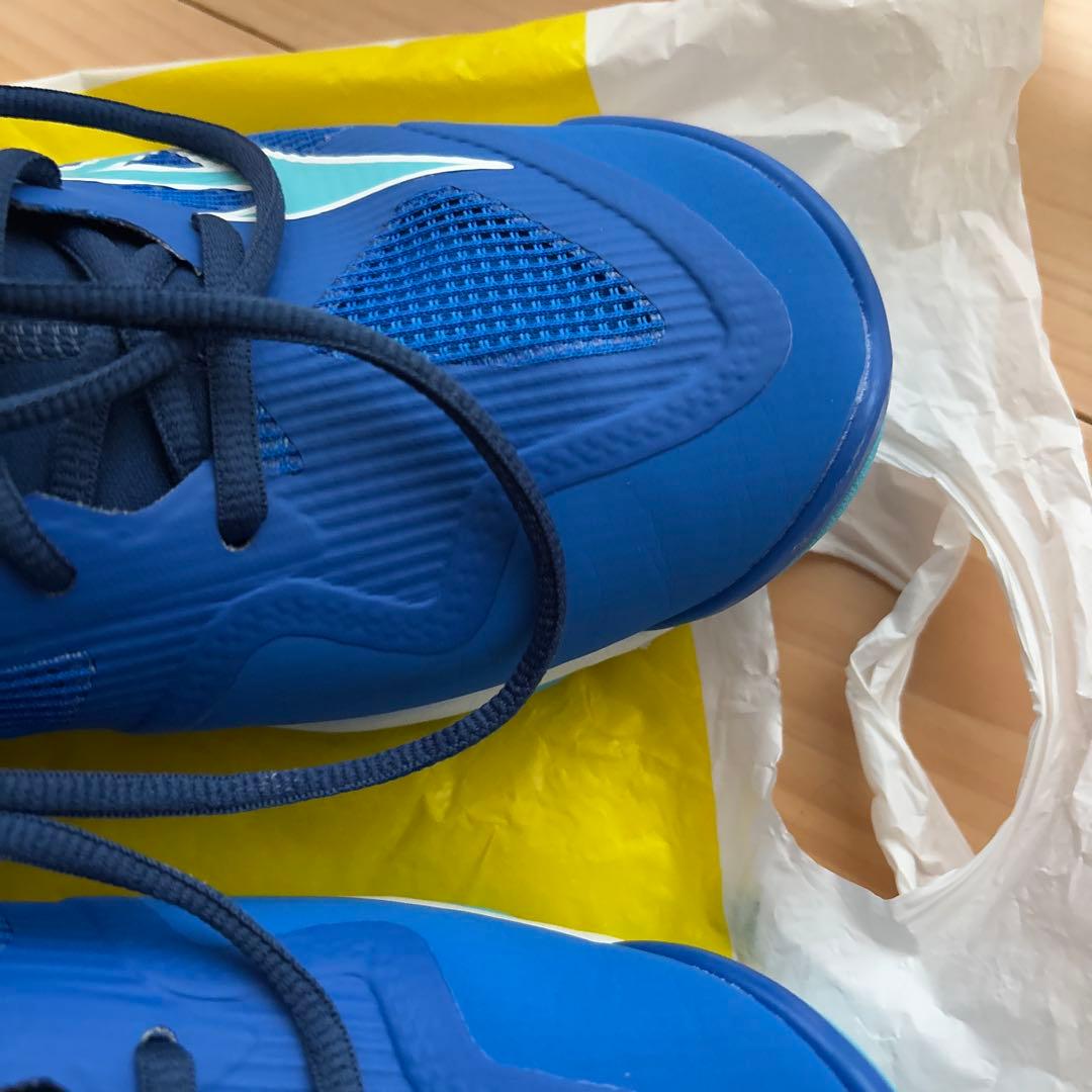 本日鳩ぽっぽさん専用