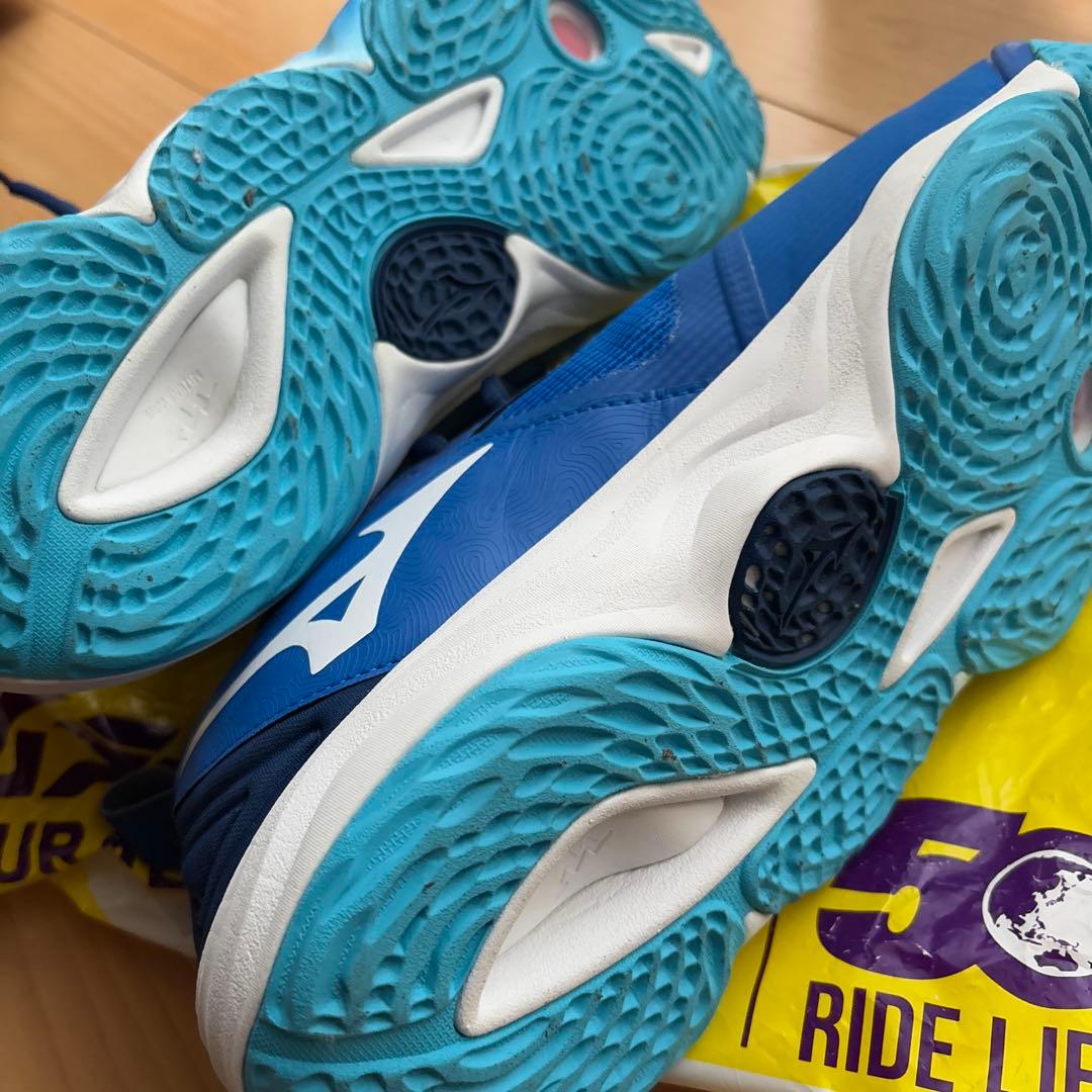 本日鳩ぽっぽさん専用